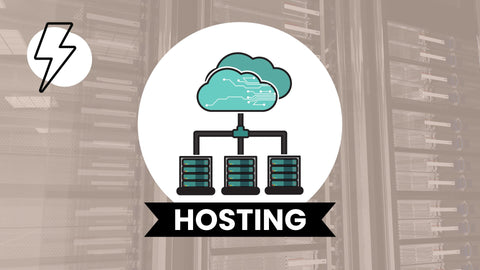 Standard Hosting Package - Digitize Hosting Solutions