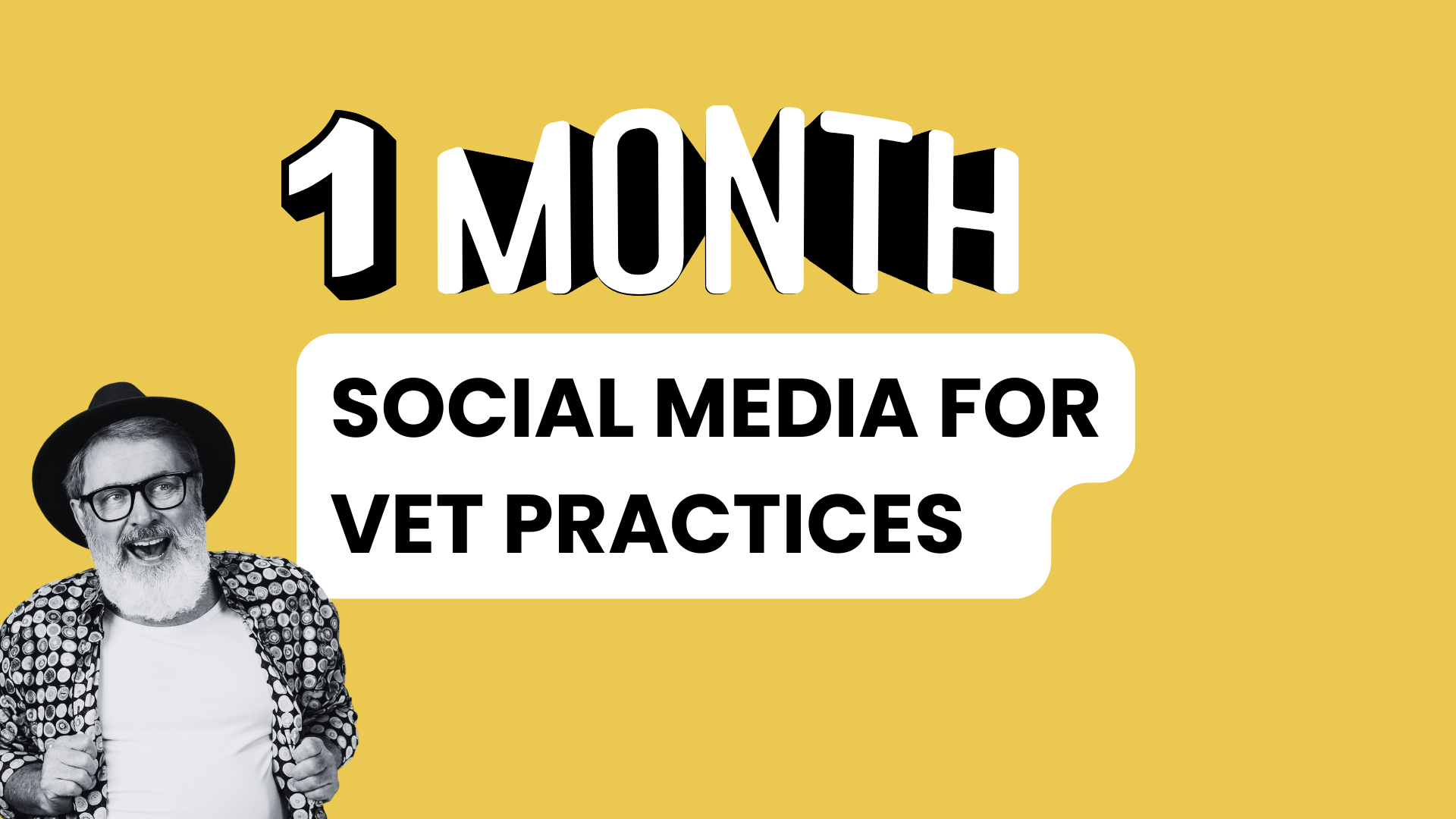 1 Month of Social Media Content for Vets